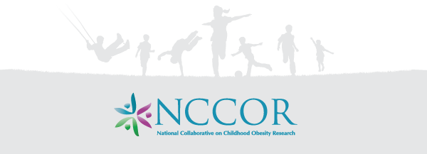 NCCOR Logo and footer graphic